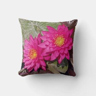 Twee roze waterlelies kussen