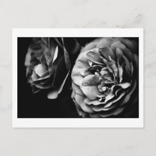 twee rozen briefkaart