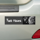 twee rozen bumpersticker (Op auto)
