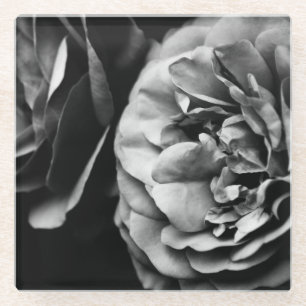 twee rozen glazen onderzetter