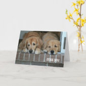 Twee Sad Golden Retriever Dogs Miss U Kaart (Gele Bloem)