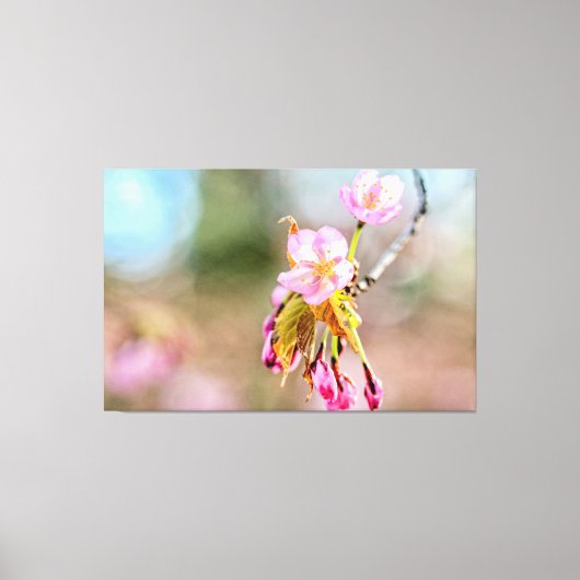 Twee Sakura-bloemen op een twijg in het voorjaar Canvas Afdruk (Voorkant)