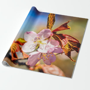 Twee Sakura Cherry Flowers Cadeaupapier