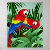 Twee Scarlet Macaws Poster (Voorkant)