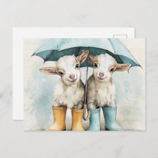 Twee Schattige Baby Goats op een regenachtige dag Briefkaart (Voorkant / Achterkant)