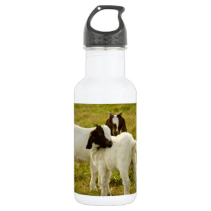 Twee Schattige Boer Geiten Waterfles