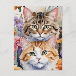 Twee schattige kitten gezichten briefkaart