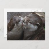 Twee Schattige otters Briefkaart (Voorkant / Achterkant)