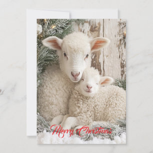 Twee Schattige Schapen Feestdagenkaart