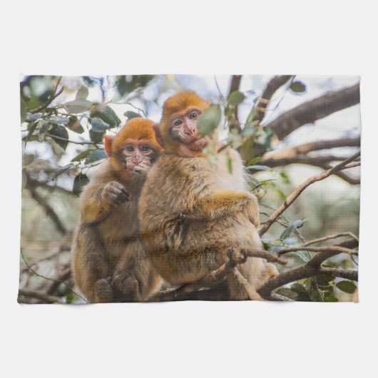 Twee Schattigee apen Theedoek (Horizontaal)