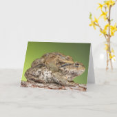 Twee Schattigee padden Kaart (Gele Bloem)