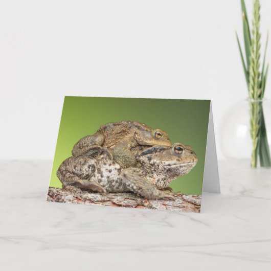 Twee Schattigee padden Kaart (Voorkant)