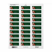 Twee schildpadden met kerstvakantie etiket (Full Sheet)