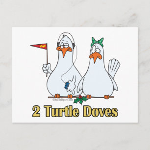 twee schildpadden op de tweede 2e kerstdag feestdagenkaart