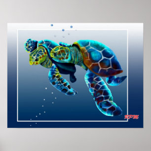 Twee schildpadden poster