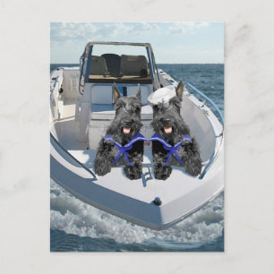 Twee Schotse schoenen op de boot Briefkaart