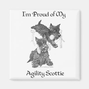 Twee Schotse Terriërs Agility Magneet