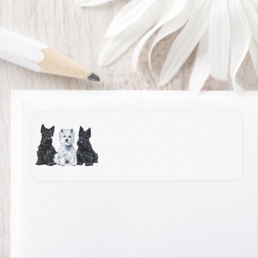 Twee Scotties en een Westie Etiket (Insitu)