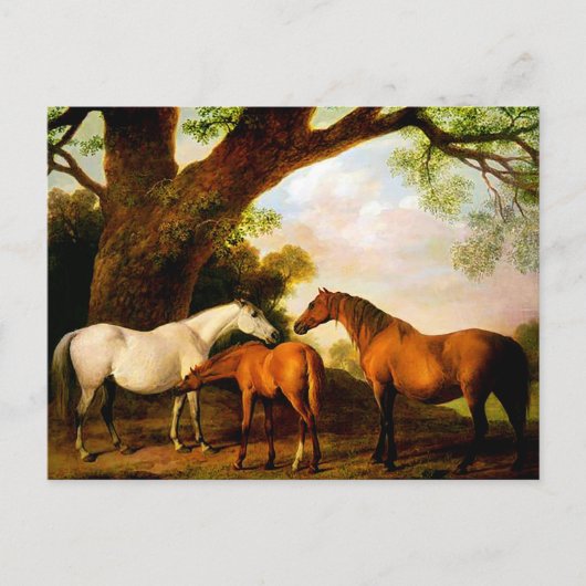 Twee Shafto Mares en een Foal van George Stubbs Briefkaart (Voorkant)