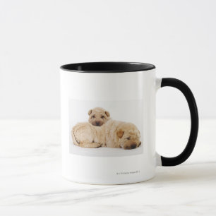Twee Shar Pei-puppies slapen, studio shot Mok