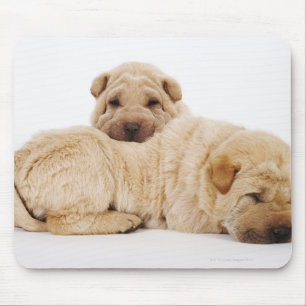 Twee Shar Pei-puppies slapen, studio shot Muismat