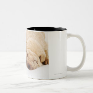 Twee Shar Pei-puppies slapen Tweekleurige Koffiemok