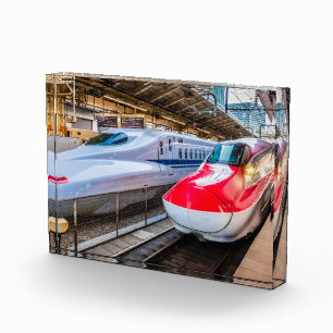 Twee Shinkansen op het Tokyo-station Fotoblokken