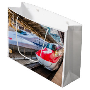 Twee Shinkansen op het Tokyo-station Groot Cadeauzakje