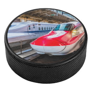Twee Shinkansen op het Tokyo-station Hockey Puck