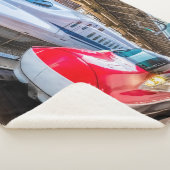 Twee Shinkansen op het Tokyo-station Sherpa Deken (3/4)