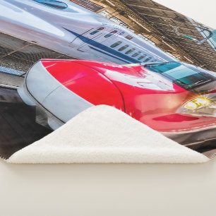 Twee Shinkansen op het Tokyo-station Sherpa Deken