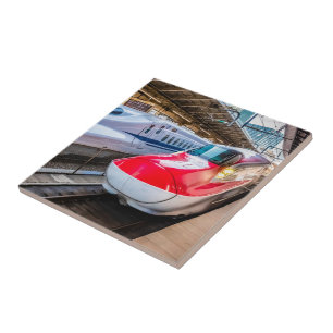 Twee Shinkansen op het Tokyo-station Tegeltje