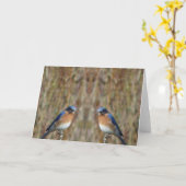 "Twee Sialia met Engel " Kaart (Gele Bloem)