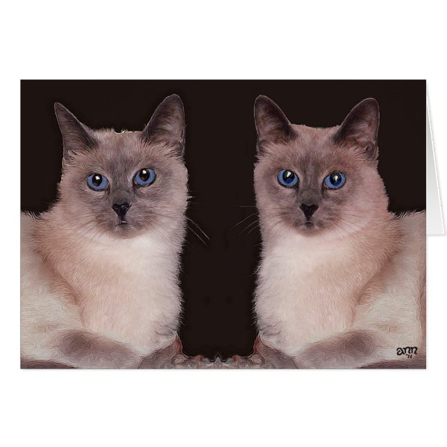Twee Siamese katten (Voorkant Horizontaal)