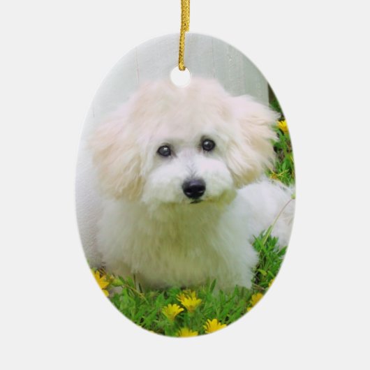 Twee Sided Photo Holiday Ornament (Voorkant)