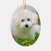 Twee Sided Photo Holiday Ornament (Achterkant)