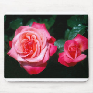Twee Silver Jubilee roos bloemen Muismat