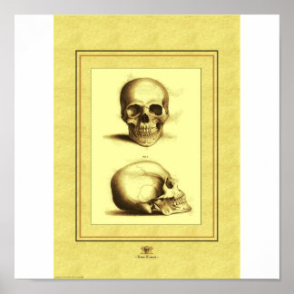 Twee Skulls Poster