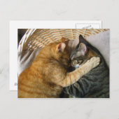 Twee slaaptabletten briefkaart (Voorkant / Achterkant)