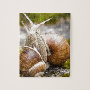 Twee slakken legpuzzel