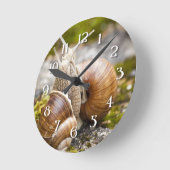 Twee slakken ronde klok (Hoek)