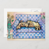 Twee slapende Tabby Cats Briefkaart (Voorkant / Achterkant)