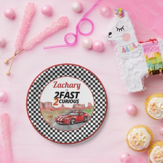 Twee snelle twee nieuwsgierige verjaardag papieren bordje (Feest)