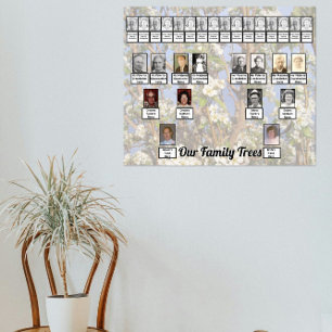 Twee stambomen op witte bloesems foto poster