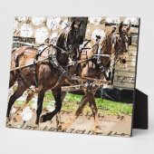 Twee teams van paarden Gemengde Media Collage Fotoplaat (Zijkant)