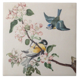 Twee  tietvogels op een appelboom tegeltje