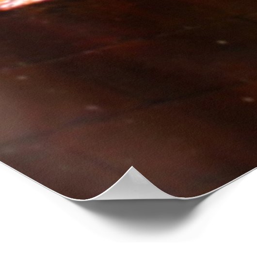 Twee tigers poster (Hoek)