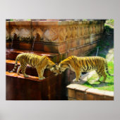 Twee tigers poster (Voorkant)