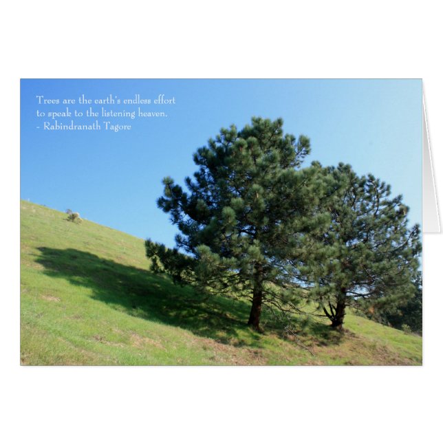 Twee Tree Hill Card (Voorkant Horizontaal)