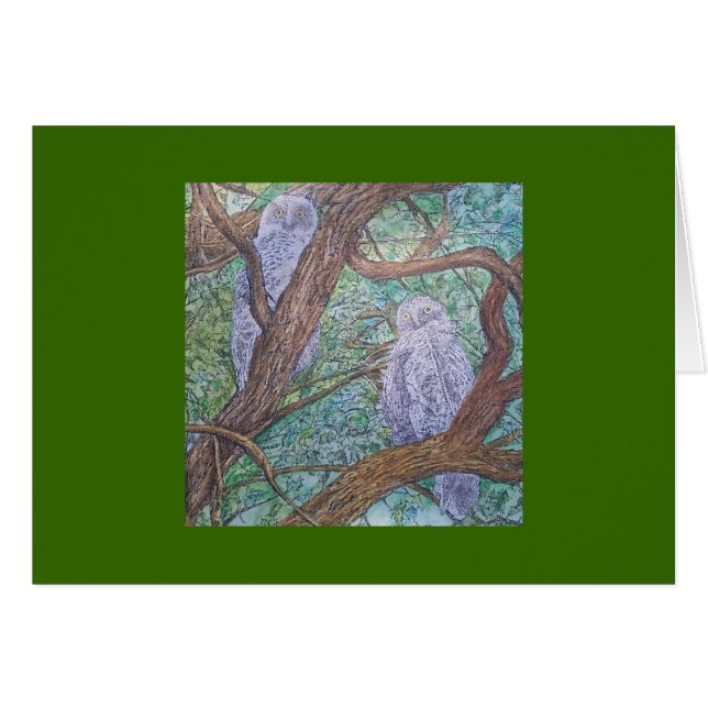 twee uilen (Voorkant Horizontaal)